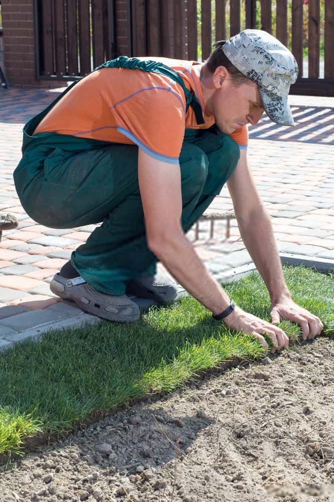 Turf Installation Turf Installation
