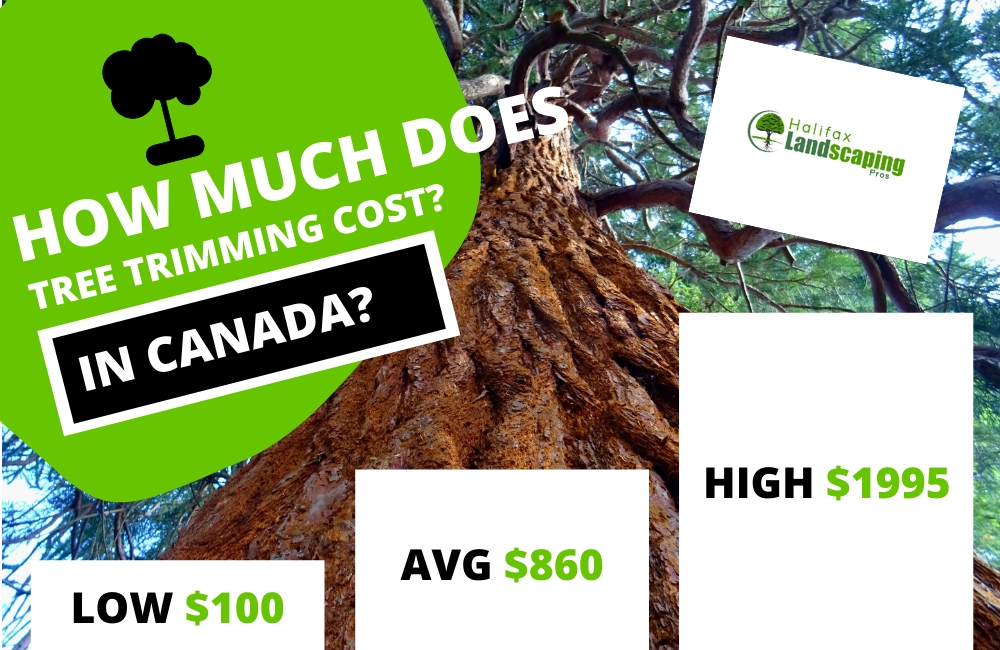 How much does tree trimming cost in canada?