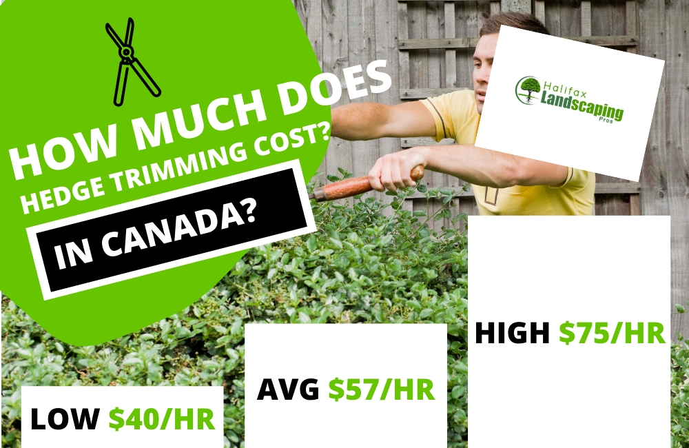 How much does hedge trimming cost in canada?