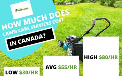 Lawn Care Services Cost