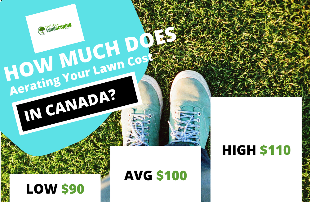 How much does aerogating your lawn cost in canada