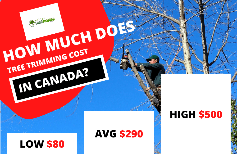 How Much Does Tree Trimming Services cost in Canada?