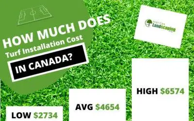 Turf Installation Costs in Canada