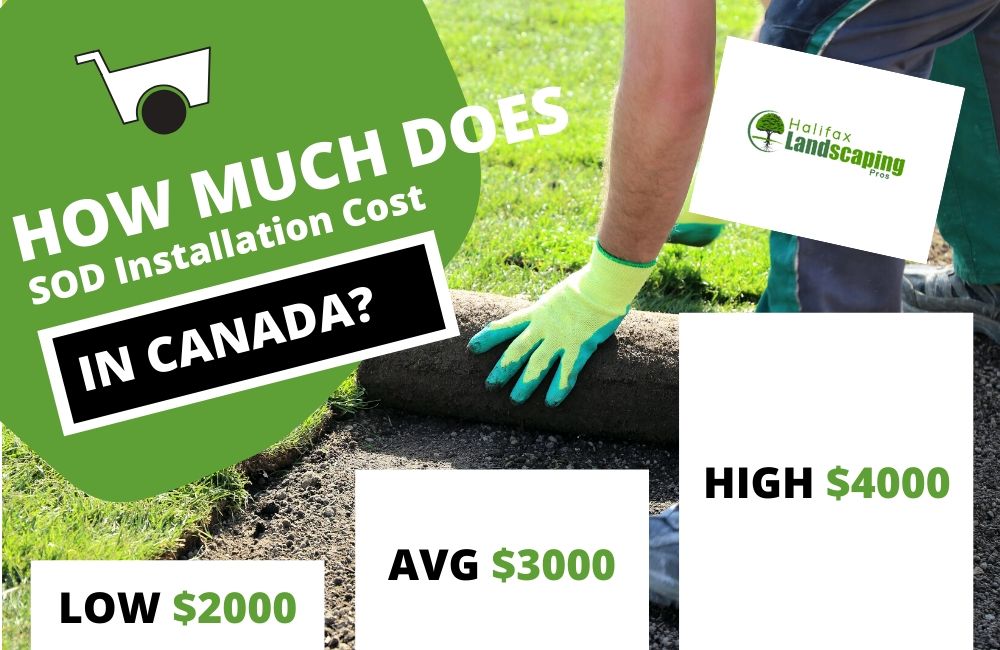 How much does Sod Installation cost in Canada?