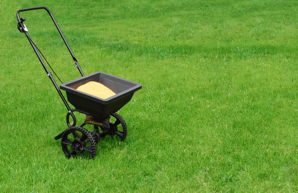 5 Key Lawn Maintenance Tips To Dominate Your Property when to fertilize a lawn