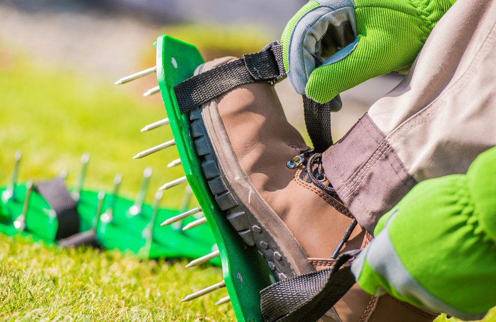 5 Key Lawn Maintenance Tips To Dominate Your Property when to aerate a lawn
