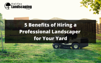5 Benefits of Hiring a Professional Landscaper for Your Yard