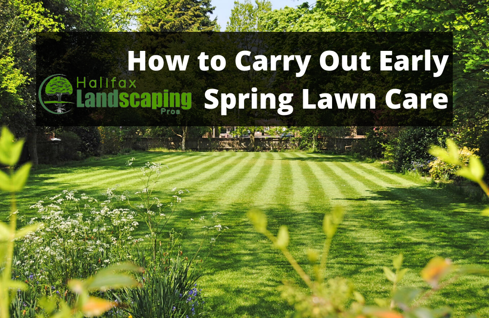 How to Carry Out Early Spring Lawn Care