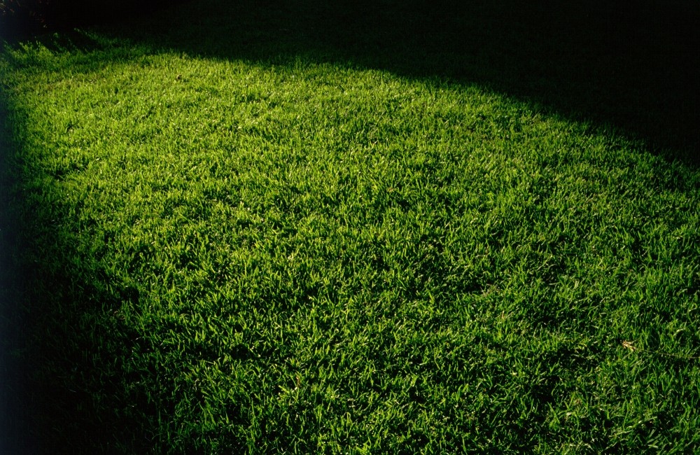 3 Common Lawn Care Mistakes Homeowners Should Avoid cutting grass failing to aerate
