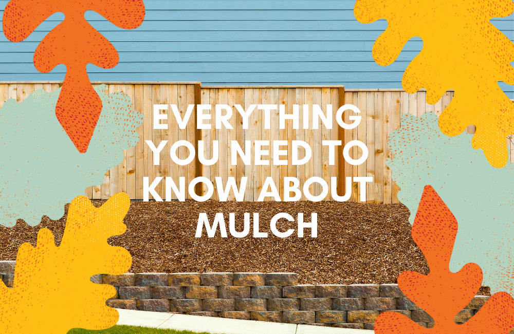 Everything you Need To Know About Mulch