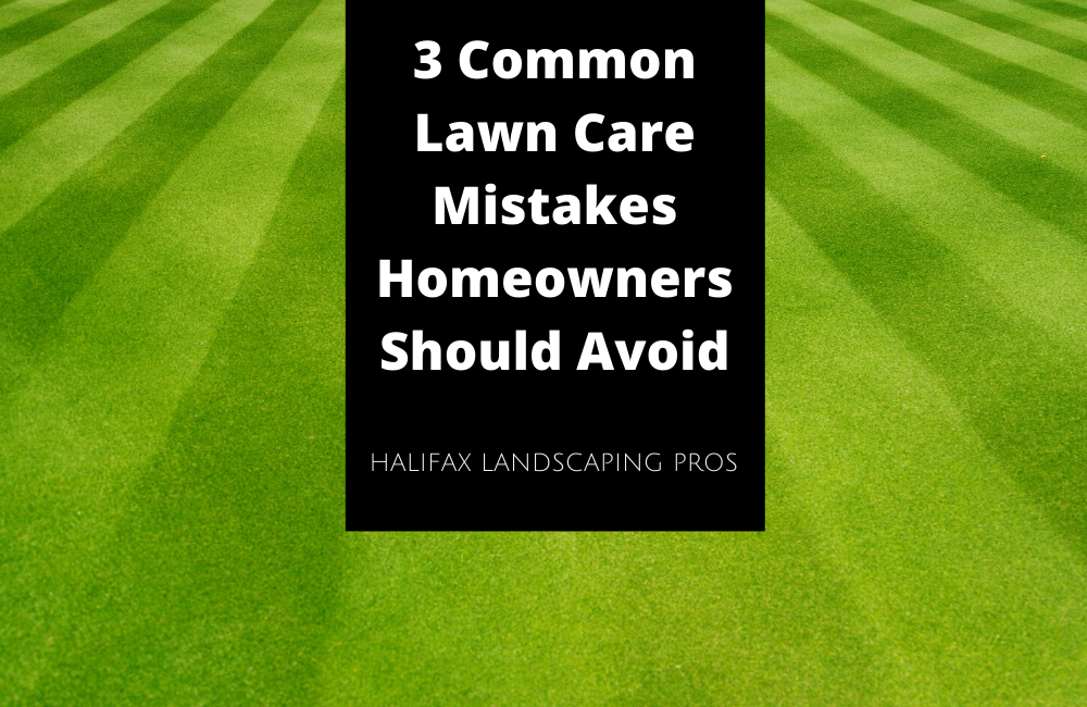 3 Common Lawn Care Mistakes Homeowners Should Avoid