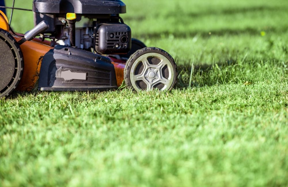 3 Common Lawn Care Mistakes Homeowners Should Avoid cutting grass too short