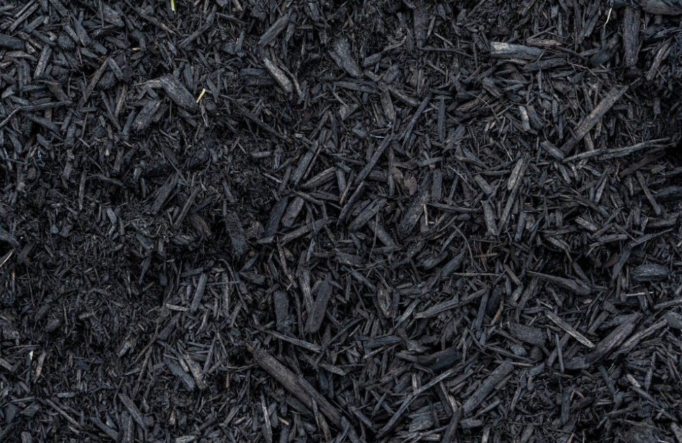 4 Ways Mulching Can Beautify Your Garden | What to Know