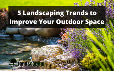 5 Landscaping Trends to Improve Your Outdoor Space