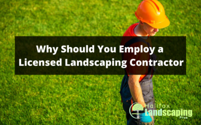 Why Should You Employ a Licensed Landscaping Contractor