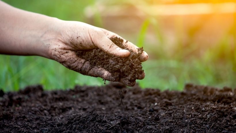 Soil & Nutrition Soil & Nutrition