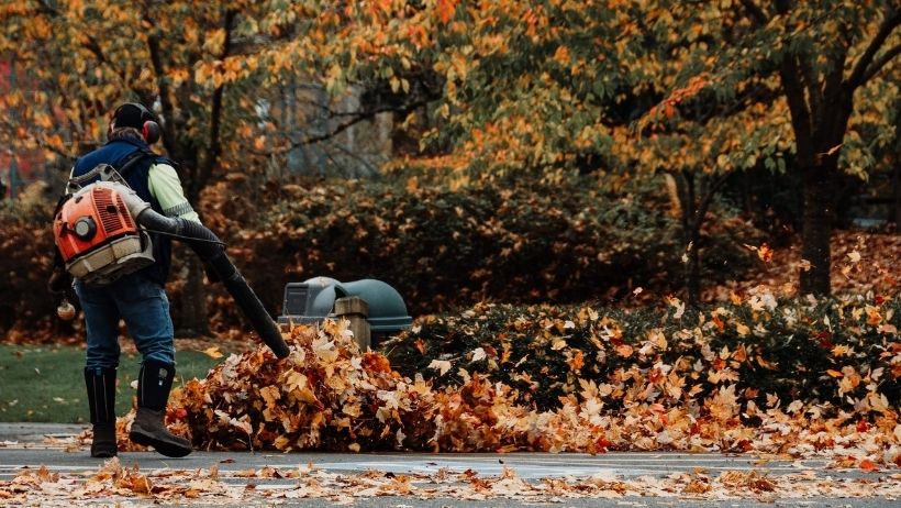 Fall Cleanup