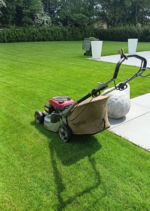 Gallery-9-500x700-1 Core Aeration & Seeding